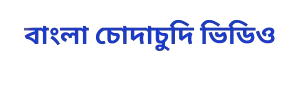 bdxvideohd Logo
